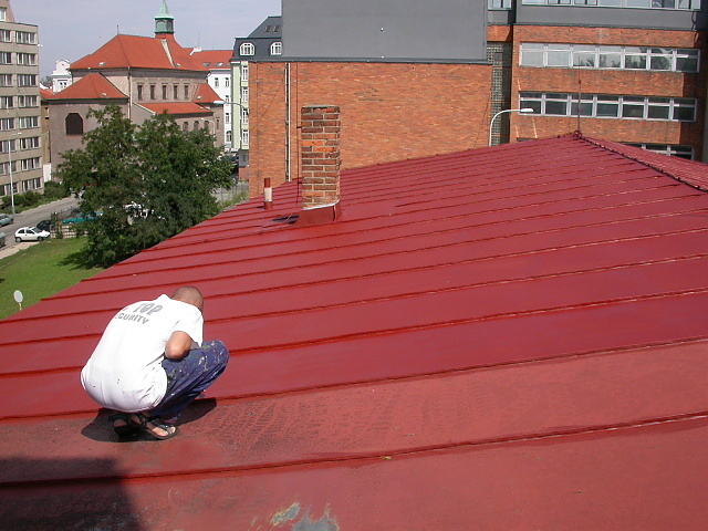 9. Nátěry střech jsou jednou z našich nejčastěji prováděných prací